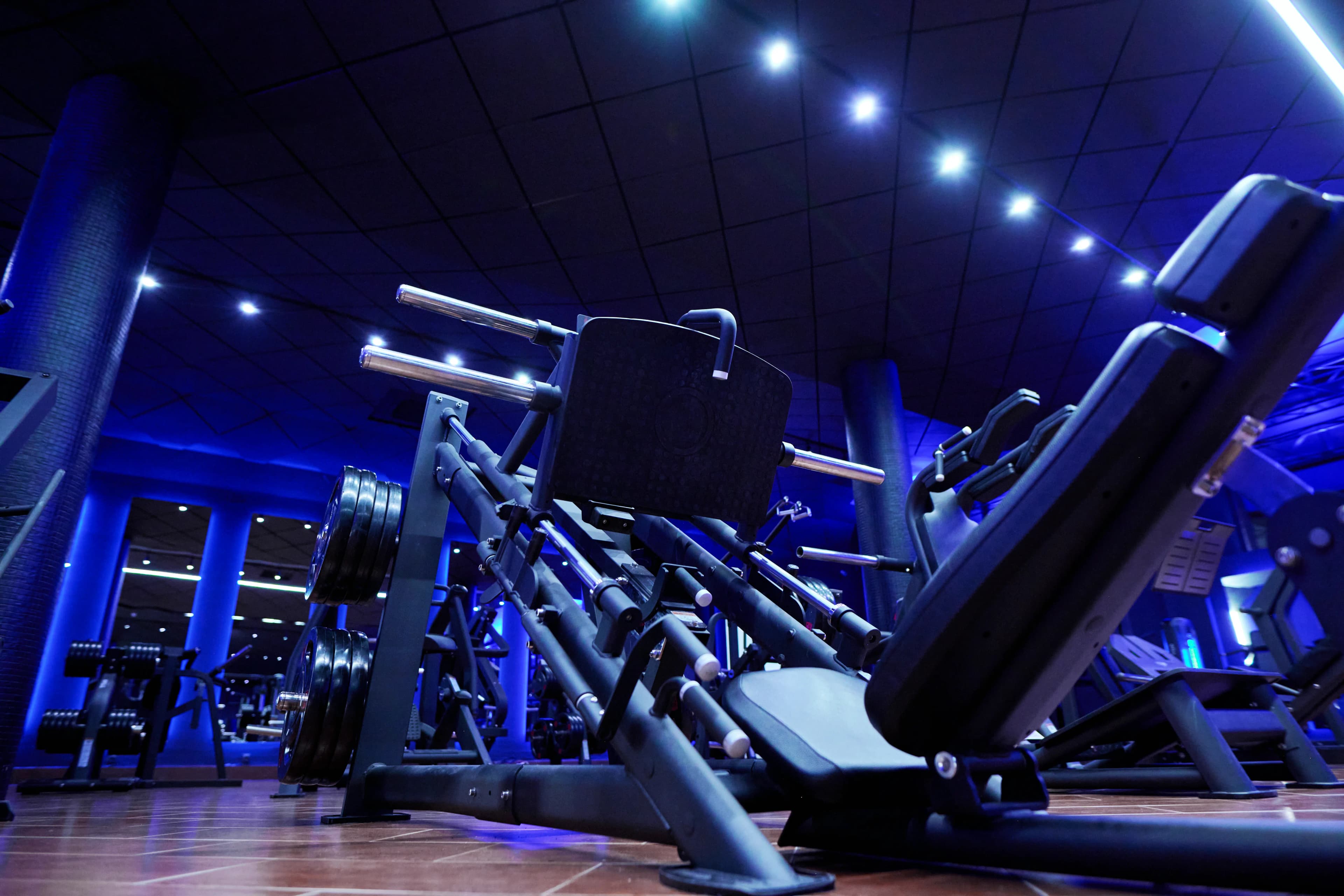gym-6