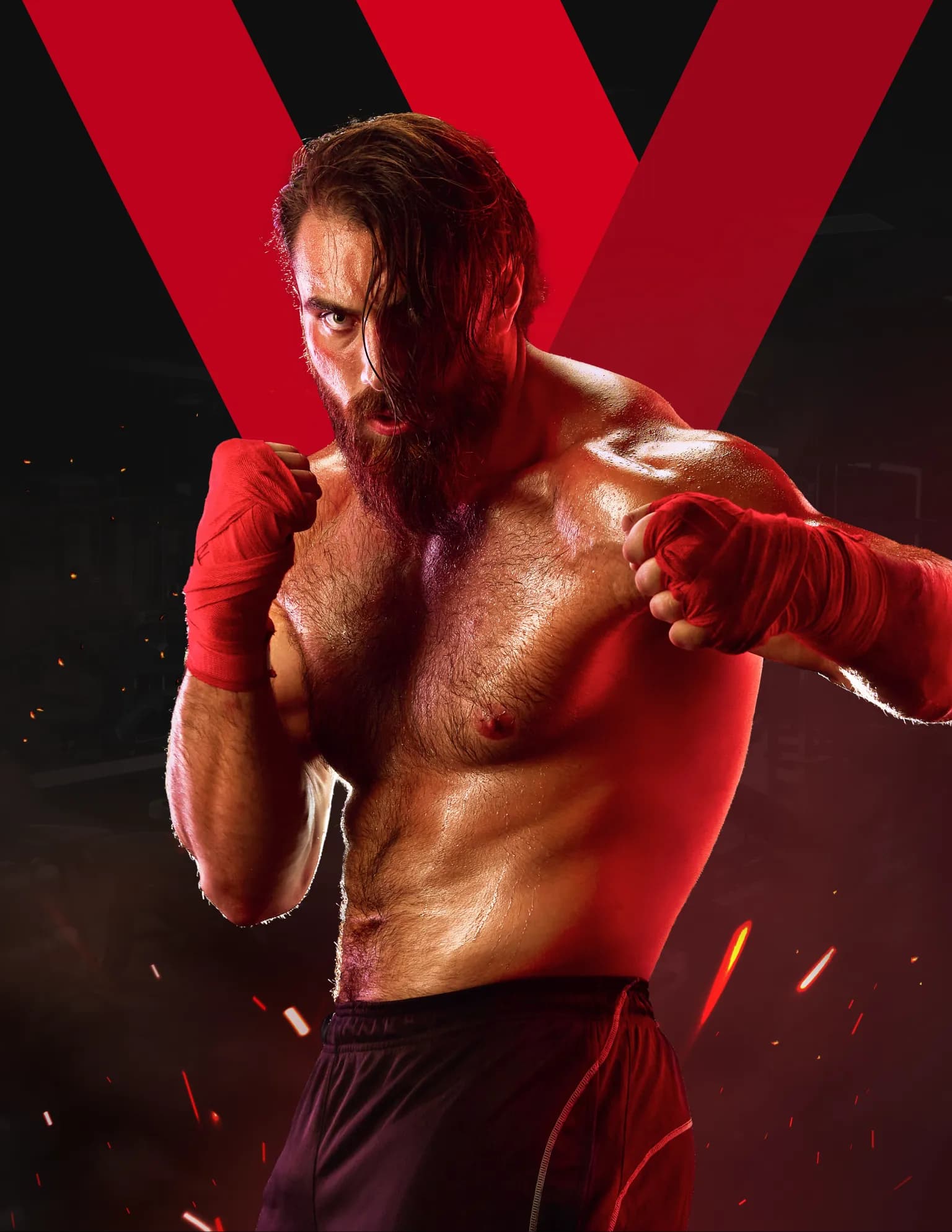 fit fight